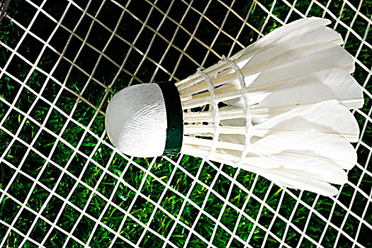 到比赛的胜 到比赛的胜