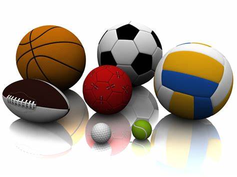 众多赛项中 众多赛项中