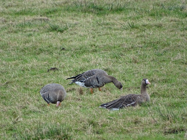 球队管理层 球队管理层