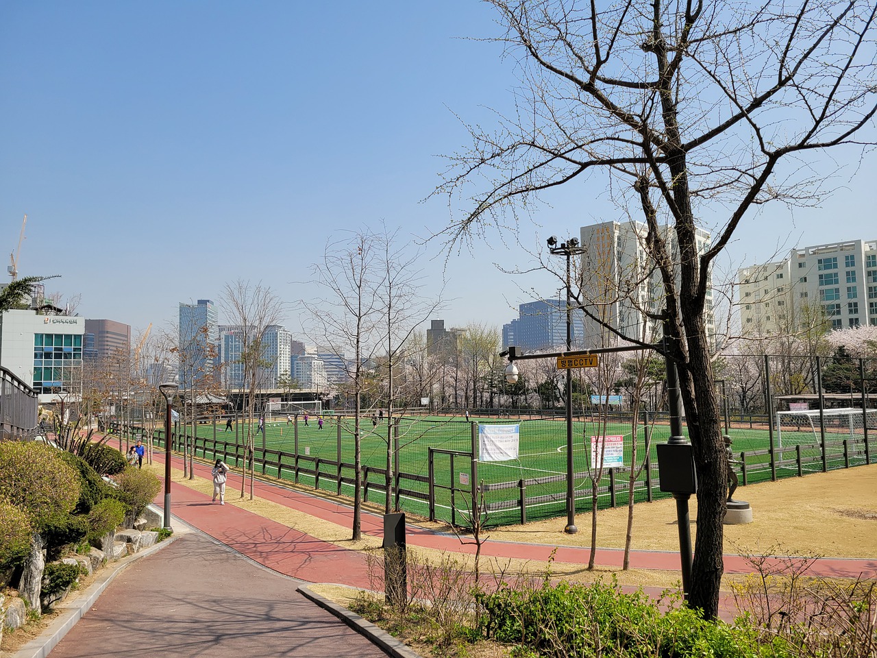 切尔西与新 切尔西与新